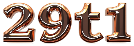 29t1 logo
